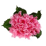 Dovewill 結婚式　人工シルク　アジサイ　花束　フラワー　造花　植物　リビングルーム　ベッドサイド　装飾　全６色 - ピンク