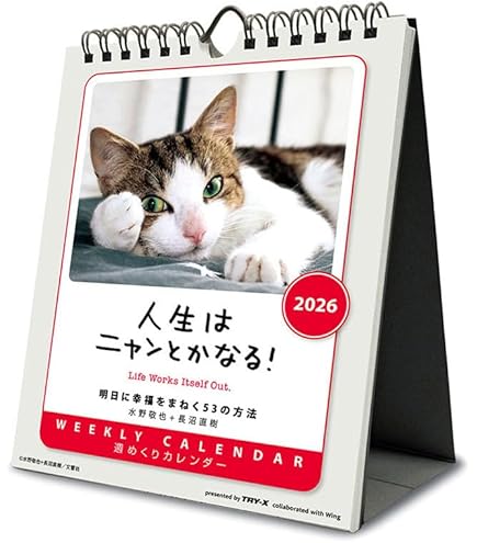 Amazon.co.jp: トライエックス 人生はニャンとかなる！ 卓上/壁掛 2025
