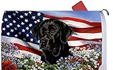 Black Labrador – Best of Breed愛国I Dog Breedメールボックスカバー