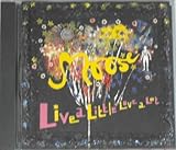 Live a Little, Love a Lot