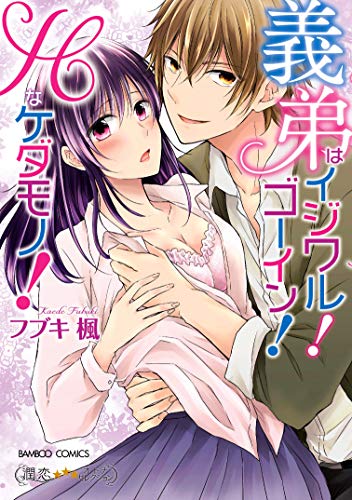 『義弟はイジワル!ゴーイン!Hなケダモノ!』