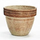 イタリア製テラコッタ鉢 ジオットポット コーヒースクラッチ 20cm 3個入り ／植木鉢