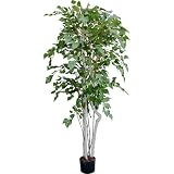 光触媒・人工観葉植物 バーチ(B)160cm 黒(鉢の色)