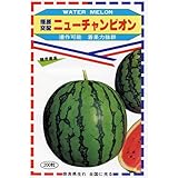 スイカ 種 【 ニューチャンピオン 】 種子 小袋（約13粒）