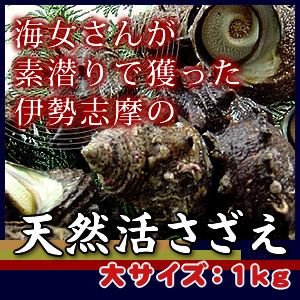 活サザエ　大サイズ　1ｋｇ（7個）