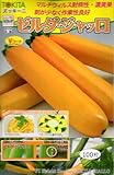 トキタ種苗　ズッキーニ ゼルダ・ジャッロ　野菜　100粒