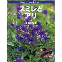 Amazon.co.jp: はるをさがしに 新・自然きらきら 1 : 七尾 純