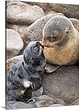 ジョン・Gibbensプレミアムシックラップキャンバス壁アート印刷題名Portrait of a NorthernファーSeal母と新生児Pupセント・ポール島 30" x 40" AKS112FRJ