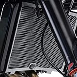 R&G(アールアンドジー) ラジエターガード トライアンフ Daytona Moto2 765 (20-) アルミ チタンカラー RG-RAD0261TI