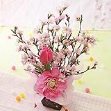 BunBunBee 早春の桜アレンジ「優しい春の時間」