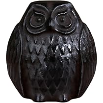 51l7fdMRyYL._AC_UL210_SR210,