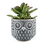 T4U 2.75 インチ 陶器 フクロウ模様 植木鉢 多肉植物 サボテン鉢 フラワーポット プランター容器 緑