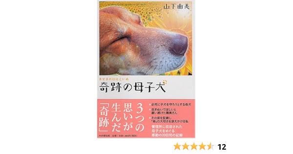 奇跡の母子犬 山下 由美 本 通販 Amazon