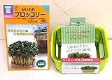 【栽培セット】 初心者向け スプラウトプランター&スプラウトの種セット (メール便配送商品)