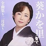 �����𗢑S�ȏW�`�񌎓��`