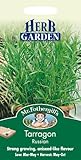 HE 英国ミスターフォザーギルズシード HERB GARDEN Tarragon Russian タラゴン・ルシアン