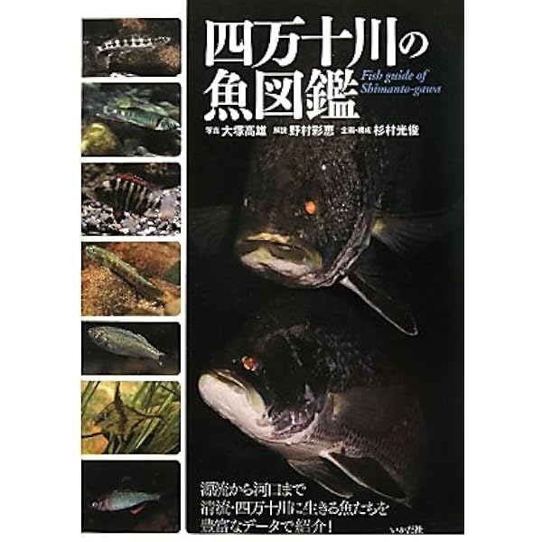 Amazon.co.jp: ナマズの博覧誌 (生き物文化誌選書) : 秋篠宮文仁, 緒方