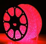 Westgate Lighting Incandescent Rope Light 150 Feet - 2 Wire - 120V Light - Best String Lights For Ho