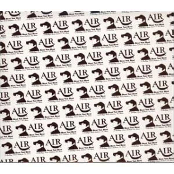 2枚セット 車谷浩司 MY LIFE AS AIR と Usual tone ~ AIR (車谷浩司) / Usual tone of voice ユージュアル・トーン・オブ