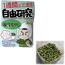 もやし Amazon.co.jp: Roczential 育苗ポット もやし栽培 スプラウト