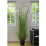 人工観葉植物 新感覚のインテリアグリーン 光触媒加工 サニーグラスＬ