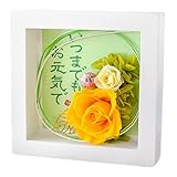 花由 プリザーブドフラワー 花うた イエロー－いつまでもお元気で－ 【フラワーギフト ブリザードフラワー 和風】