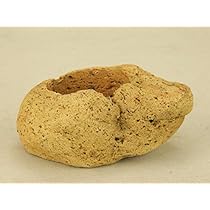 【新品】桜島産軽石 植木鉢 芥子色 Amazon | いよじ園 【盆栽鉢】 桜島産 付石 軽石 （大サイズ） | 鉢