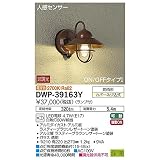大光電機:人感センサー付アウトドアライト DWP-39163Y
