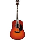 Amazon | S.Yairi ヤイリ Traditional Series アコースティックギター