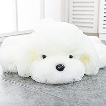 51lHevktO5L._AC_UL210_SR210,