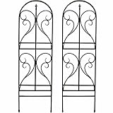 アイアントレリス　フィニアル 2枚組　IPN-7950-2P　(SST)