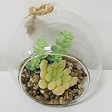 ガラス多肉植物 M1 商品コード：56416 不二貿易