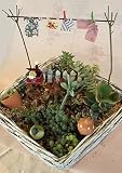 【ミモザオリジナル】お庭や寄植えを演出するカワイイ洗濯物