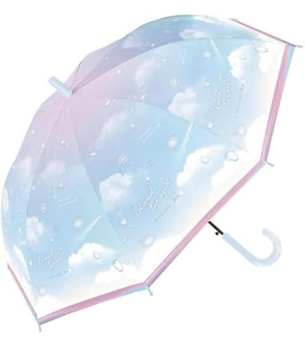 空港限定福井洋傘イイダ傘　高級傘くま　テディベア　限定傘　レア　ダッフィ 空港限定福井洋傘イイダ傘 高級傘くま テディベア 限定傘 レア ダッフィ