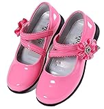 RoRykon 子供フォーマル靴 ガールズシューズ 女の子 子供靴 シューズ ドレス用 七五三 誕生日 結婚式 入園式 発表会 プレゼント 演奏会 花嫁介添人 フラワー飾り (26码/内长16.2cm