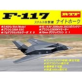ラジコンジェット(JET)戦闘機★Lanxiang Model★70mm EDF JET★F-117ナイトホーク 2.4GHz/8ch/Mode1 RTFキット★時速100Km飛行★日本語送信機・アンプマニュアル付き