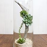 A plus floral art インテリアグリーン シリンダー 多肉植物 流木 アレンジ グラスサフティス フェイクグリーン 観葉植物 造花