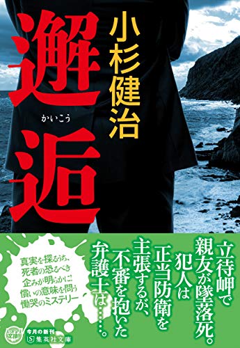 小杉健治:邂逅 (集英社文庫)