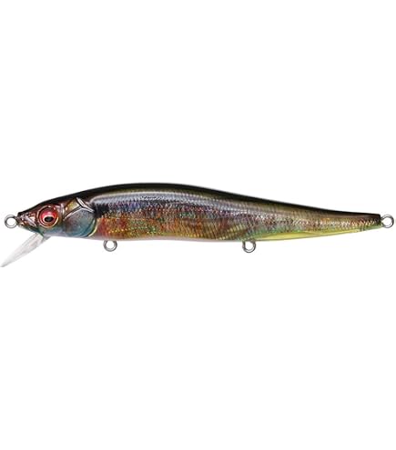 Amazon.co.jp: メガバス ビジョン ワンテン 限定カラー VISION 110
