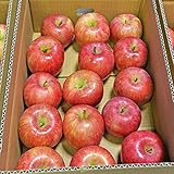 山形産 サンつがる りんご ５ｋｇ 約12?20玉前後 訳あり ご家庭用