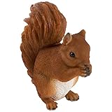 山善(YAMAZEN) アニマルガーデン リス AG-R700E