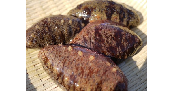 Amazon 伊勢湾 三河湾産 活赤ナマコ 海鼠 海参 なまこ このわた 1kg 5匹以上 不明 鮮魚 通販