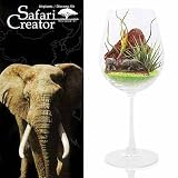 (観葉)エアープランツ「サファリ クリエーター」 ～ゾウ～(1セット) 本州・四国限定[生体]