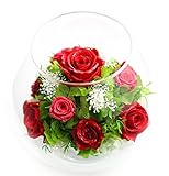 アートフォーシーズン　MS天然ダイヤモンド プリザーブドフラワー (レッド)