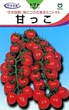 ミニトマト 種 【 ミニトマト甘っこ 】 種子 小袋