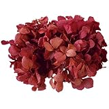 ヴェルディッシモ アジサイ クランベリー 約18g プリザーブド花材