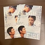 映画 太陽の子 ポストカード 2点セット 特典