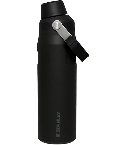 Amazon.co.jp: Stanley (スタンレー) オールデイ スリムボトル 20