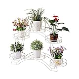 TIDLT フラワースタンド 二重層 盆栽フラワースタンド フロアスタンドフラワースタンド 鉄の芸術 使用する バルコニー インドア リビングルーム (色 : 白)