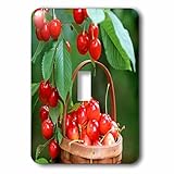 3drose LSP _ 80461 _ 1 Cherries in a basket Single切り替えスイッチ